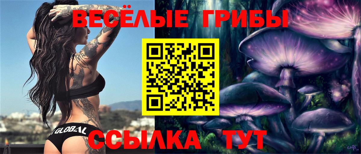 Галлюциногенные грибы прущие грибы Курск