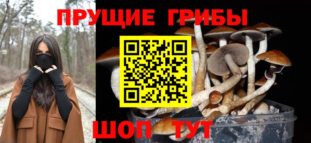 Псилоцибиновые грибы Psilocybe  Галлюциногенные грибы Psilocybe  Вход с VPN  Курск 